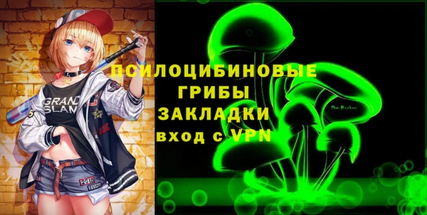 индика Алексеевка