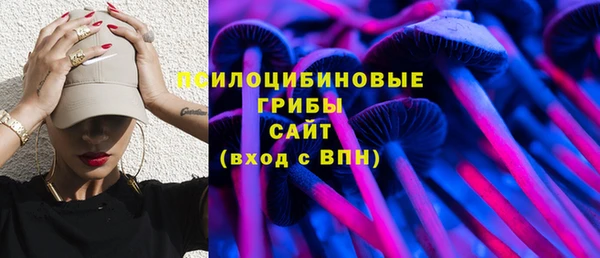индика Алексеевка