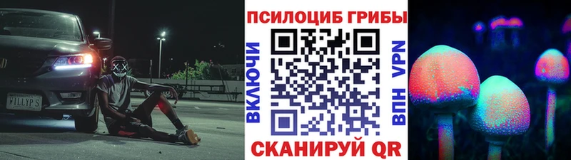 дарнет шоп  Райчихинск  Псилоцибиновые грибы прущие грибы 