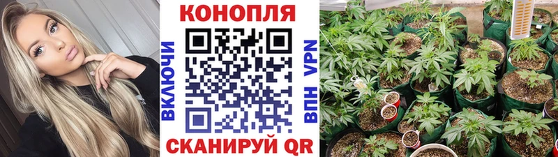 Шишки марихуана AK-47  купить наркотик  Райчихинск 